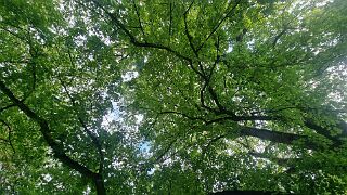 20260607_193700 null