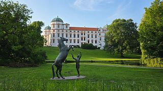 20260607_194137 null