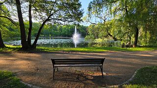 20260607_195042 null