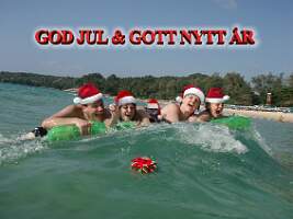 Julkort2006