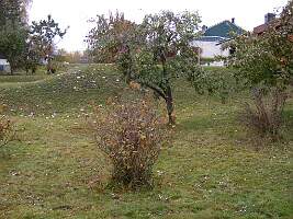 PA160049