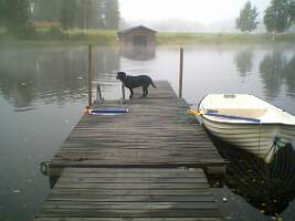 PIC000015