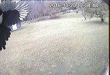 View Cam1.20161020 120448